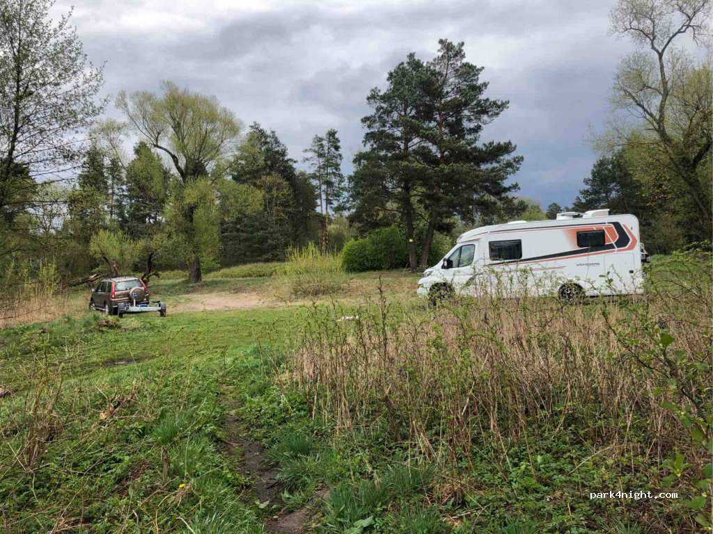 (12-250) Wierzbiny - — foto
