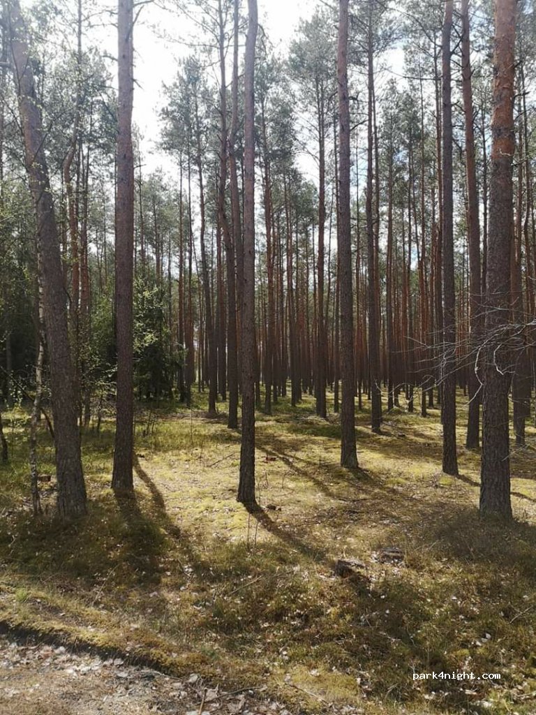 (22-200) Włodawa - Unnamed Road — foto
