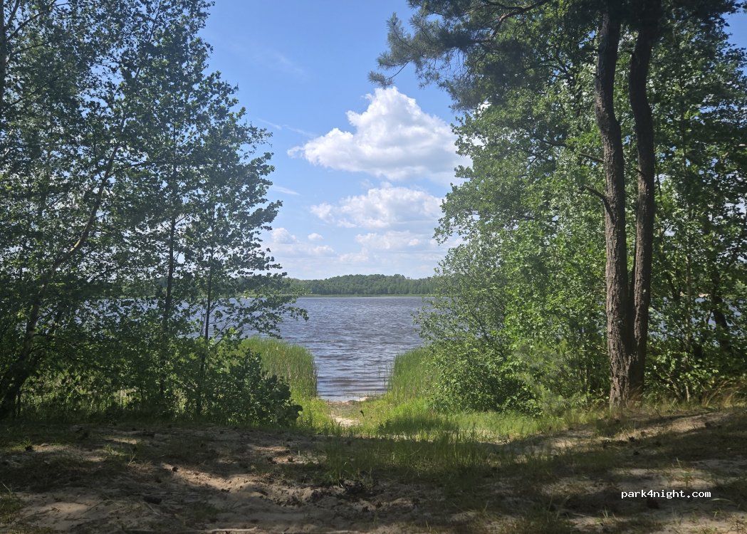 (22-200) Włodawa - Unnamed Road — foto 5