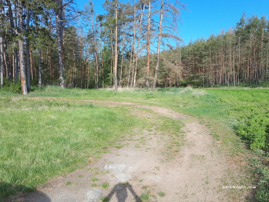 (264 01) Dublovice - Unnamed Road — foto
