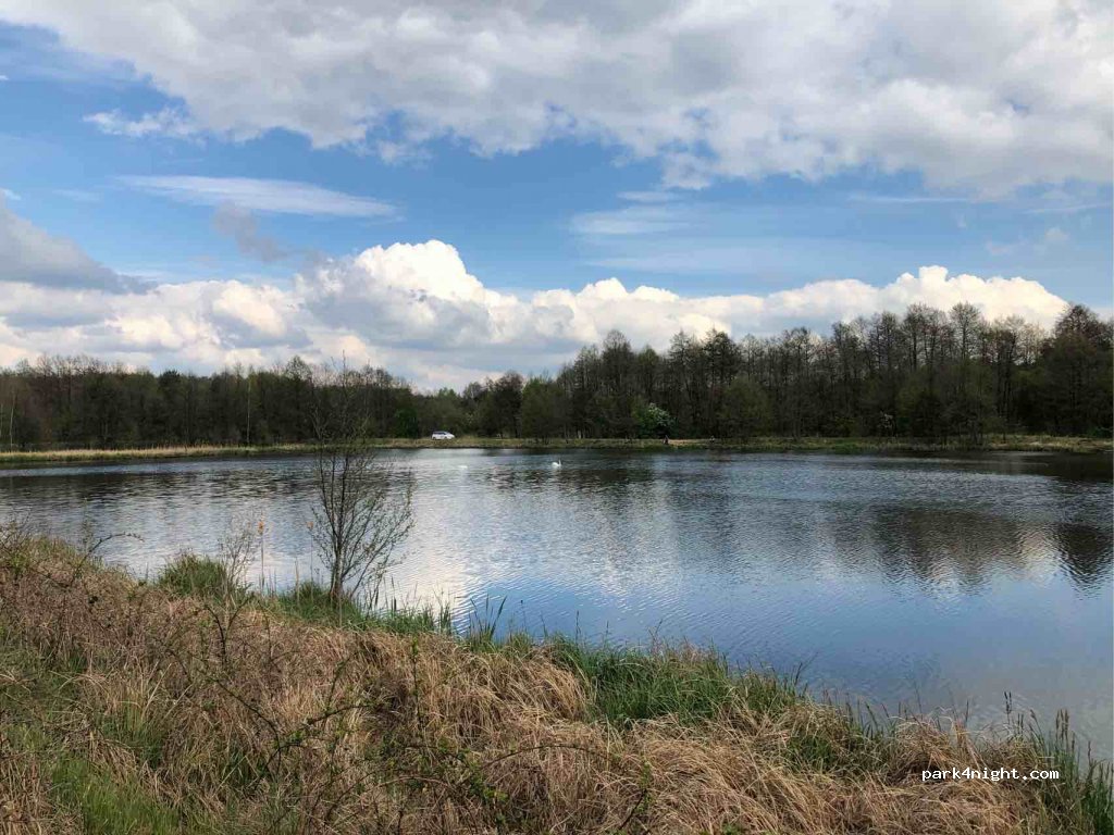 (26-670) Pionki - Unnamed Road — foto 2