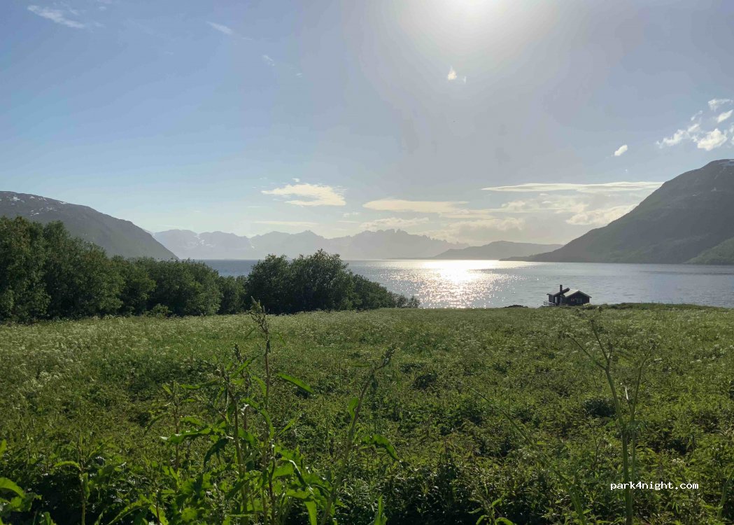 Arctic Fjordcamp — foto 2