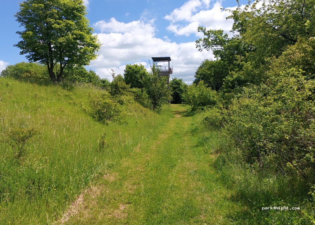 (37296) Ringgau - Unnamed Road — foto 5