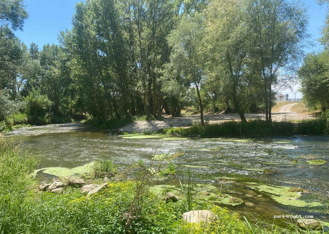(34257) Villodrigo - Camino del Espino — foto 3