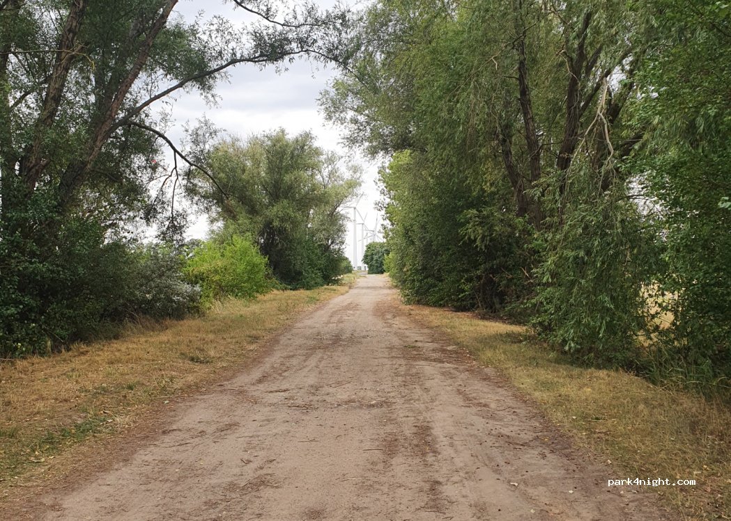 (04523) Pegau - Unnamed Road — foto 3