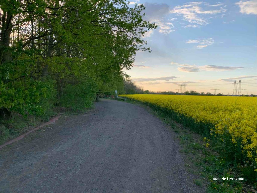 (04523) Pegau - Unnamed Road — foto