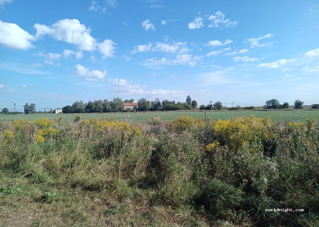 (04523) Pegau - Unnamed Road — foto 3