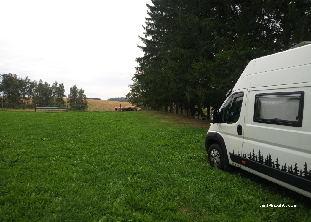 Horní Dvorce — foto 4