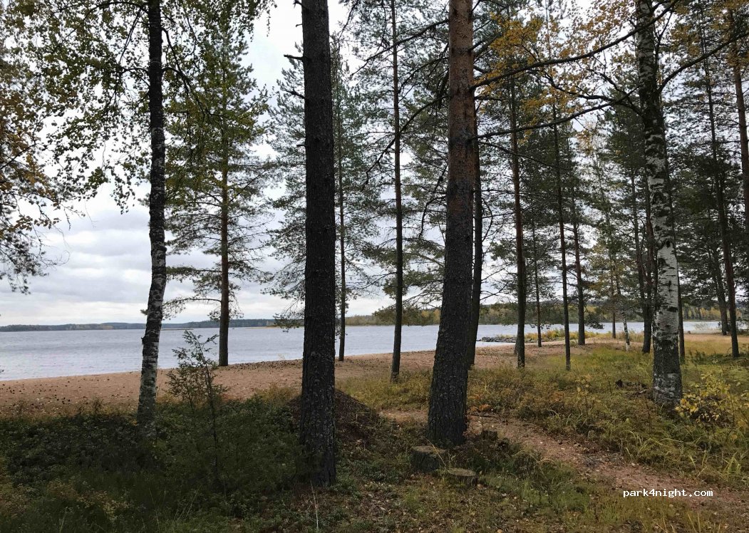 (43540)  - 42 Saarionkangas — foto