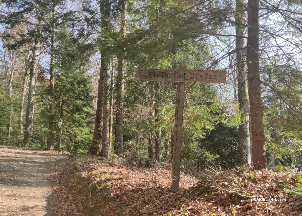 (2027) Saint-Aubin-Sauges - La Taupe à l'Ours — foto 3