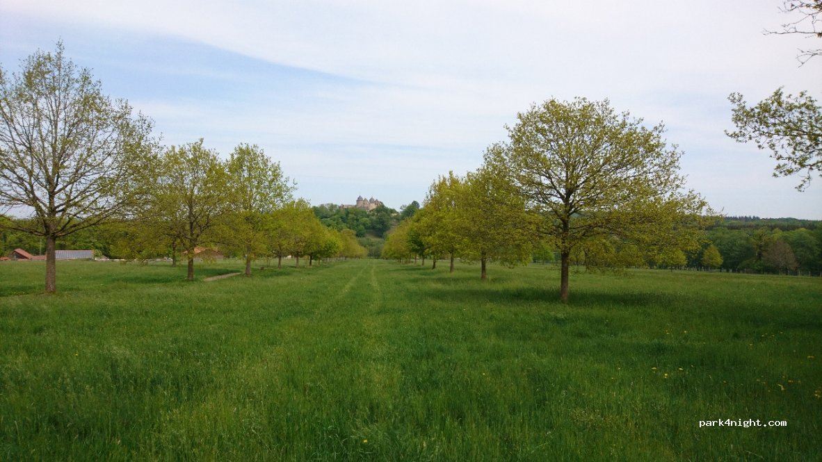 (34369) Hofgeismar - 100 Sababurg — foto 2