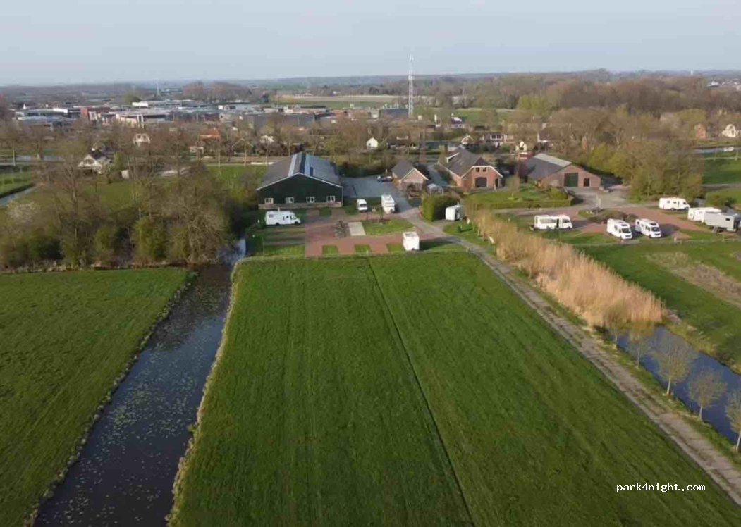 Polderhaan — foto 3