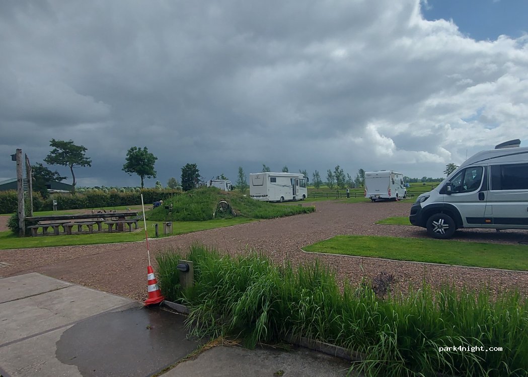 Polderhaan — foto 4