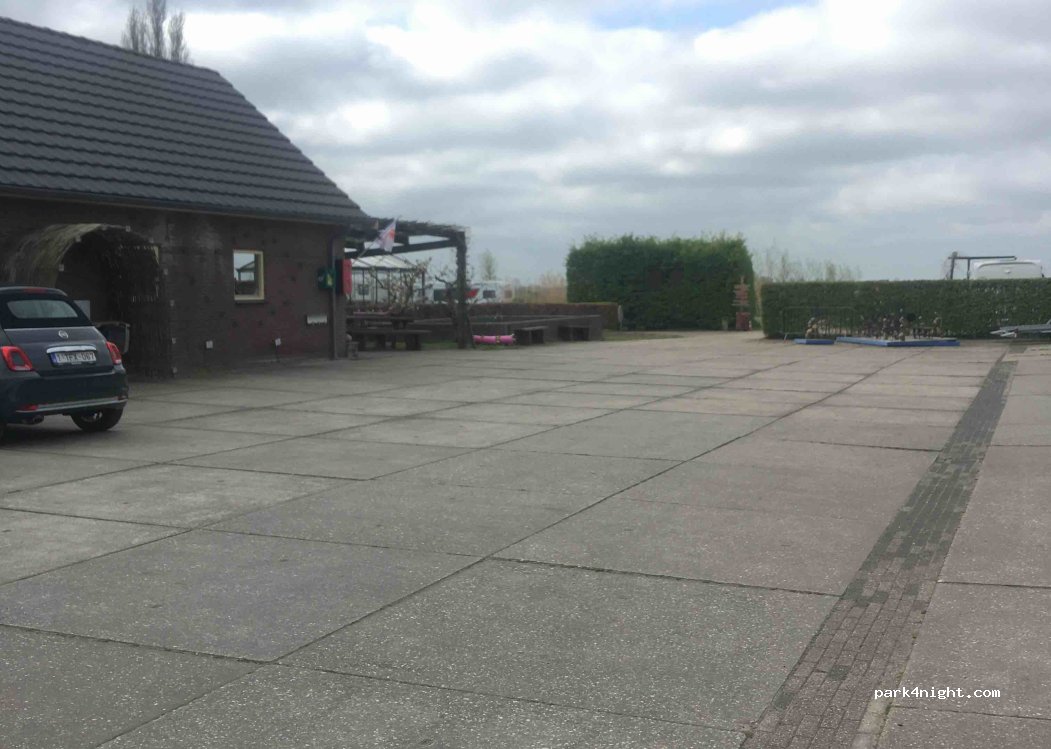 Polderhaan — foto 5