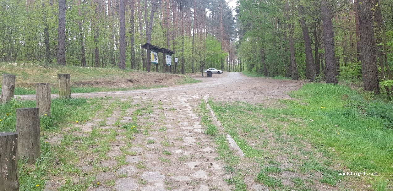 (69-200)  - Dukt leśny — foto