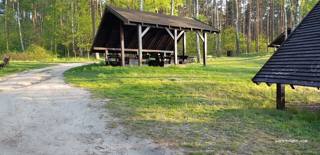 (69-200)  - Dukt leśny — foto 2