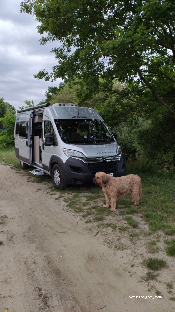 (38518) Gifhorn - 1 An der Aller — foto 3