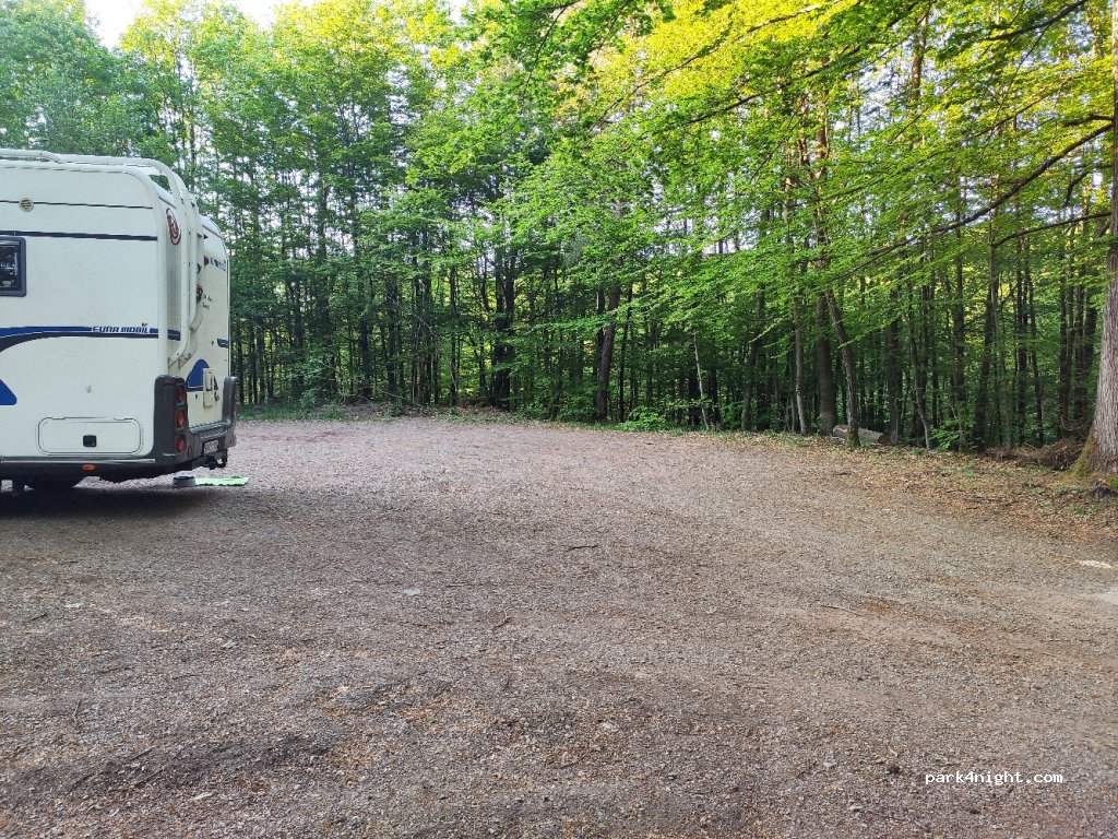 (67693) Waldleiningen - L504 — foto 2