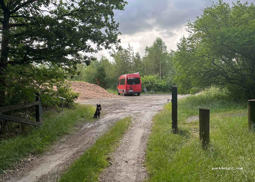 (6933) Kibæk - 5 Hesselvigvej — foto 4
