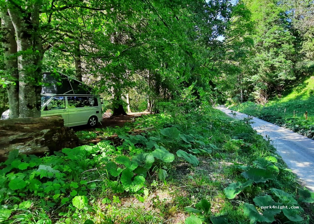 (1637) Val-de-Charmey - Unnamed Road — foto 4