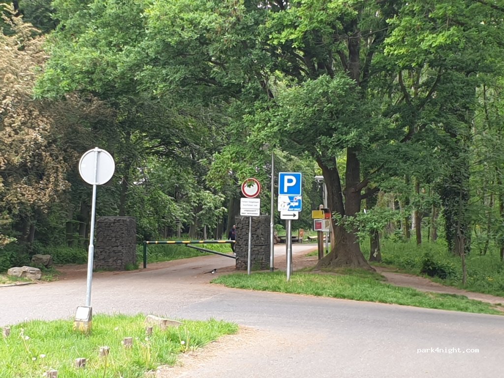 Parkeerplaats hondenlosloopzone Brunssummerheide — foto