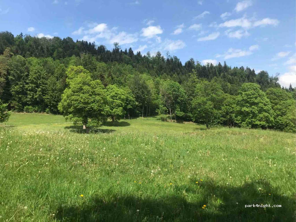(2800) Delémont - 8 La Haute-Borne — foto 2