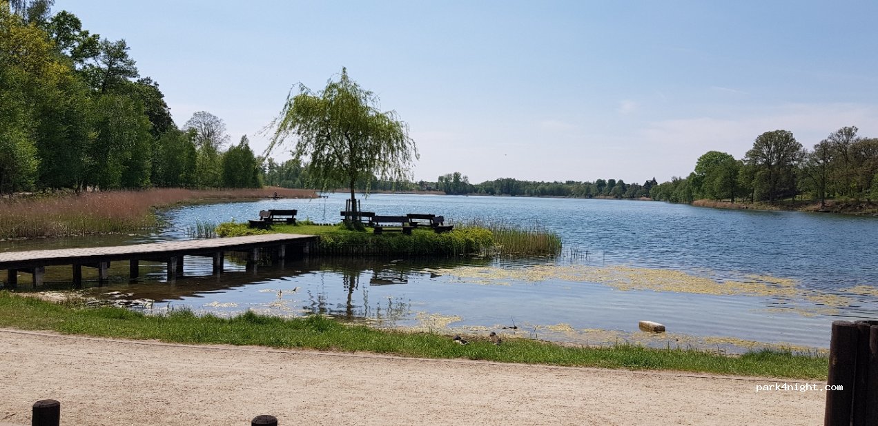 (69-220) Ośno Lubuskie - 96 Grunwaldzka — foto