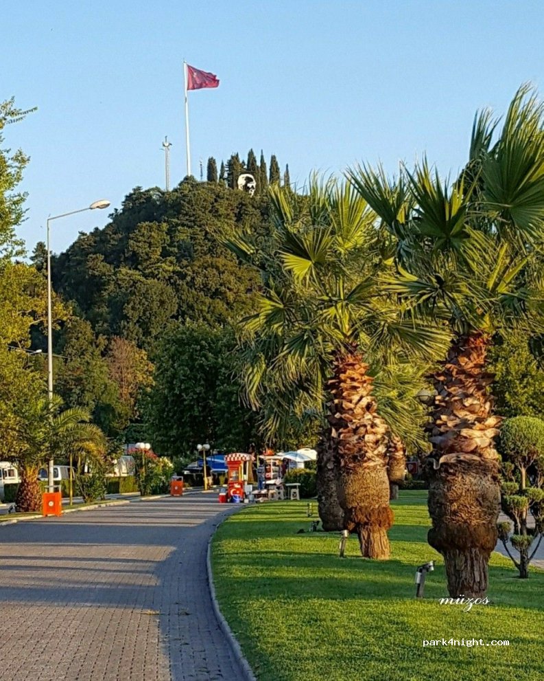 (67300) Ereğli - 35 Atatürk Bulvarı — foto 2