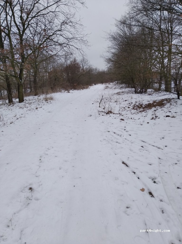 (51-004) Wrocław - Edmonda Micheleta — foto 2