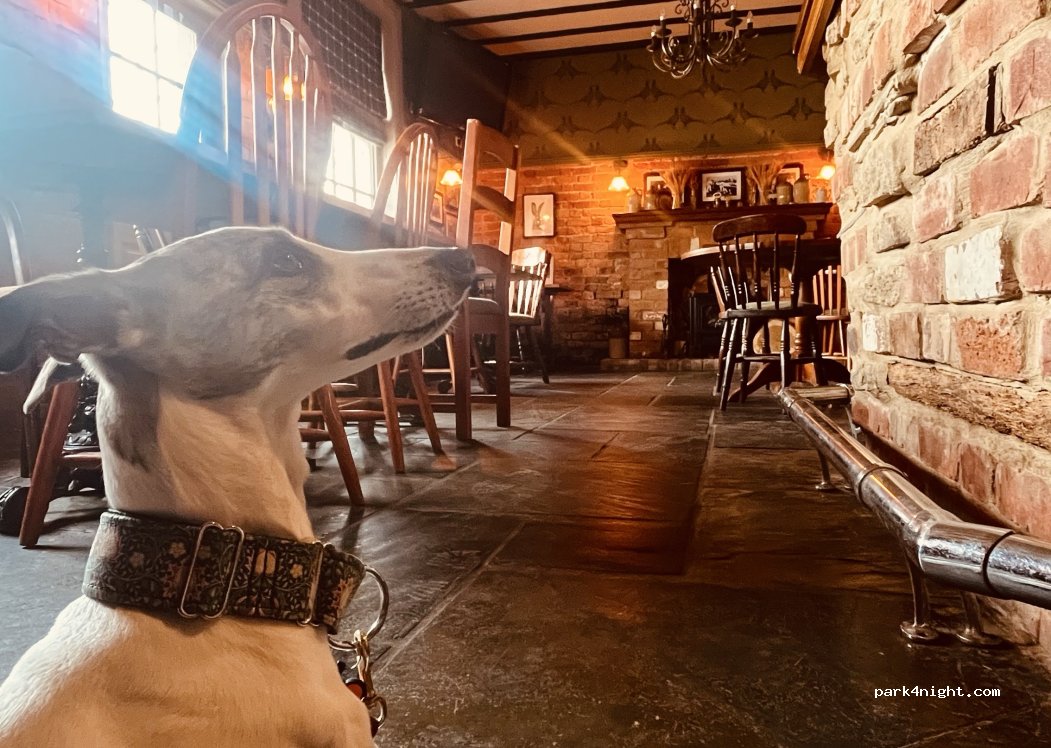The Red Lion Inn — foto 5