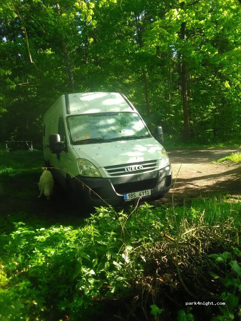 (390 01) Tábor - Lesní — foto