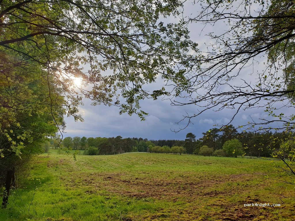 (21271) Hanstedt - Im Höpen — foto 2