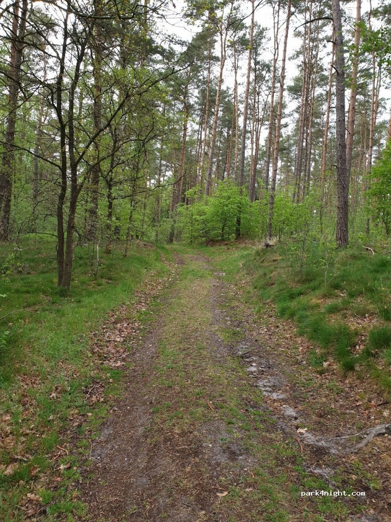 (21271) Hanstedt - Im Höpen — foto 3