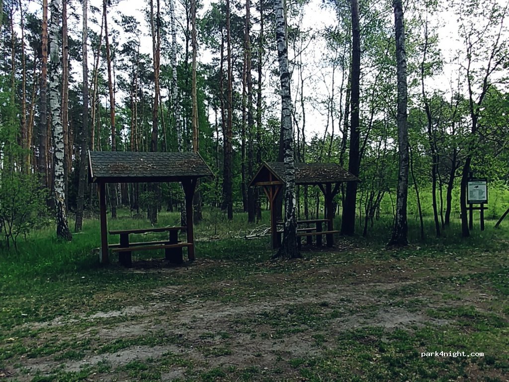 (63-020) Zwola - Gajowa — foto 2