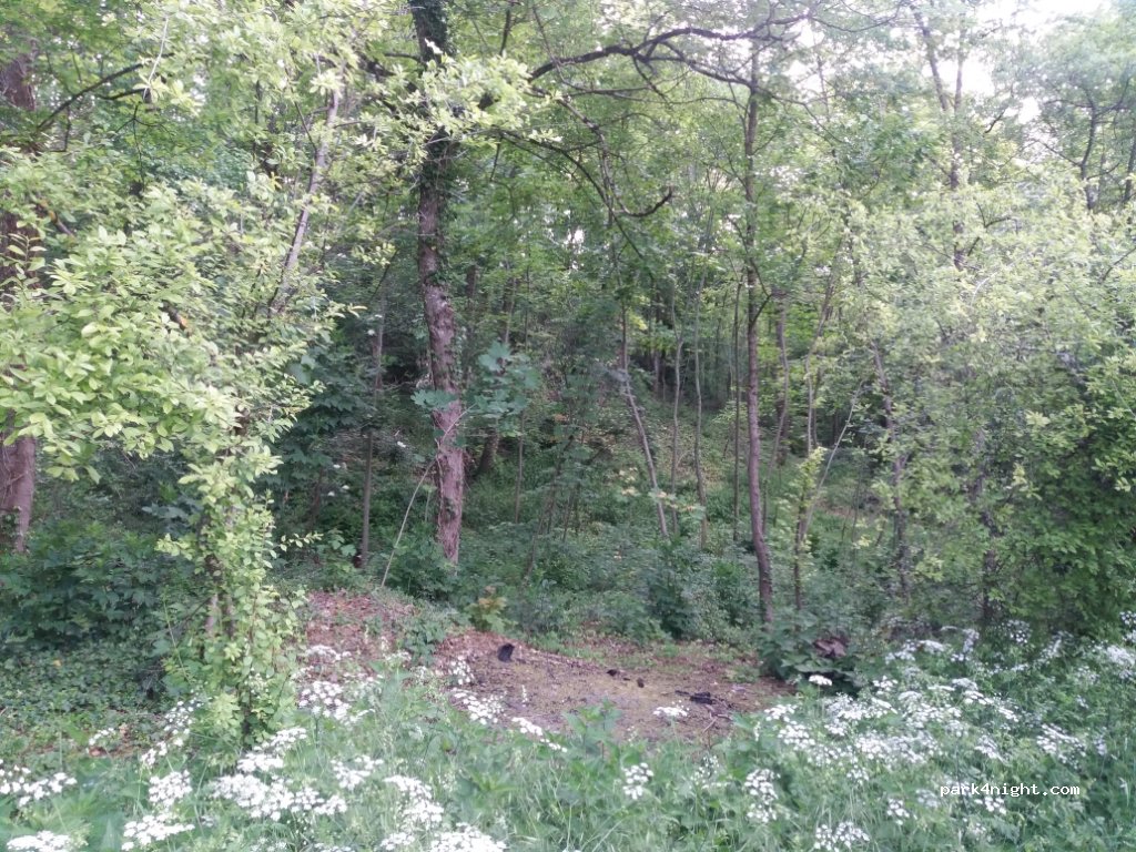 (45300) Yèvre-la-Ville - Rue de Montberneaume — foto 2