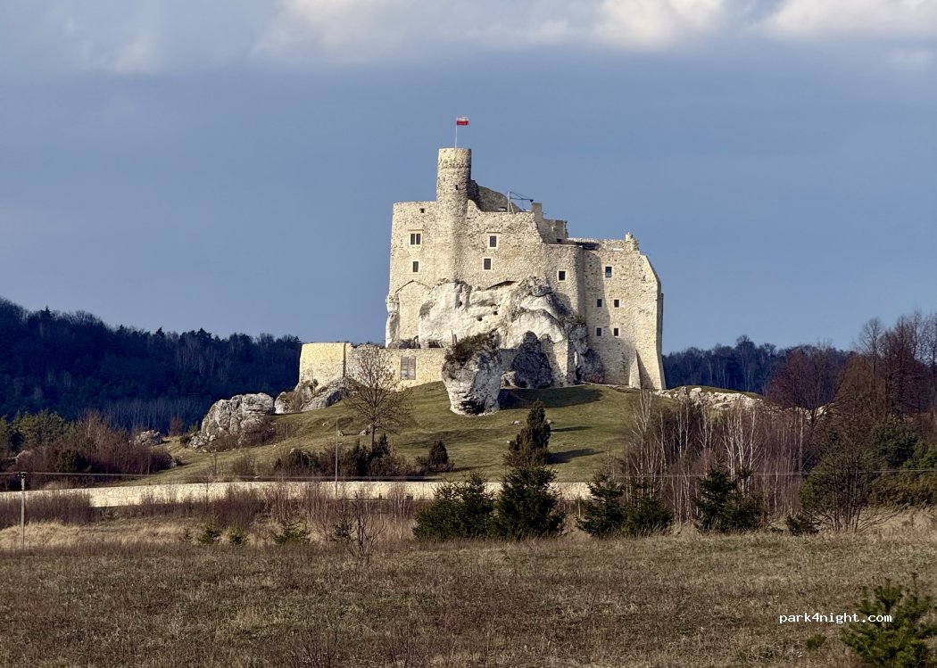 (42-320) Mirów - — foto 5
