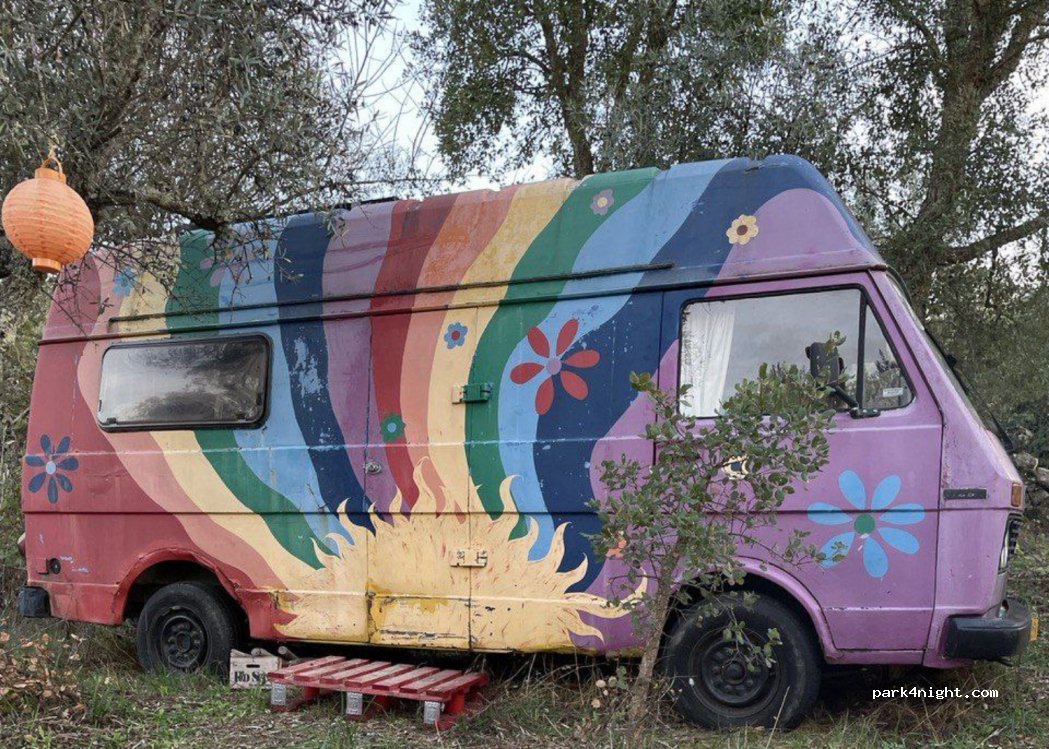 Casa Fluxus — foto