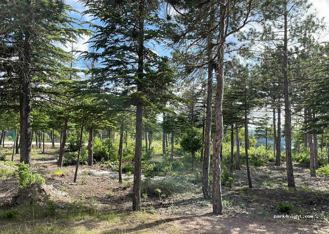 Musaöz Nature park — foto 4