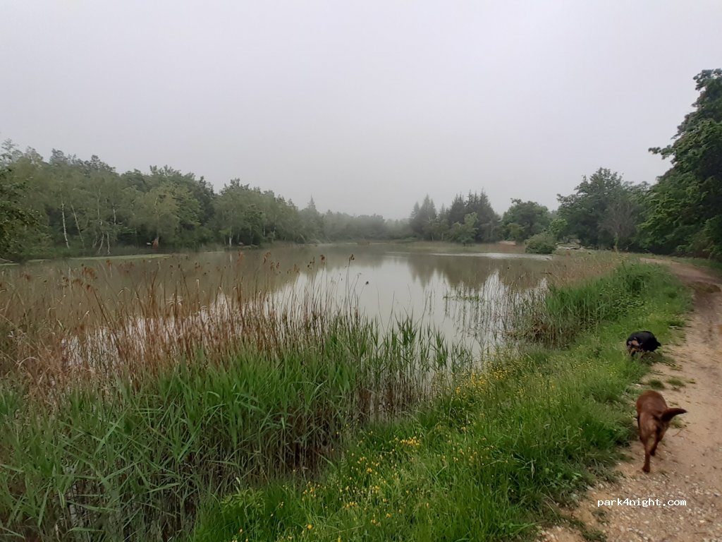 (26530) Le Grand-Serre - Route de l'Etang — foto 2