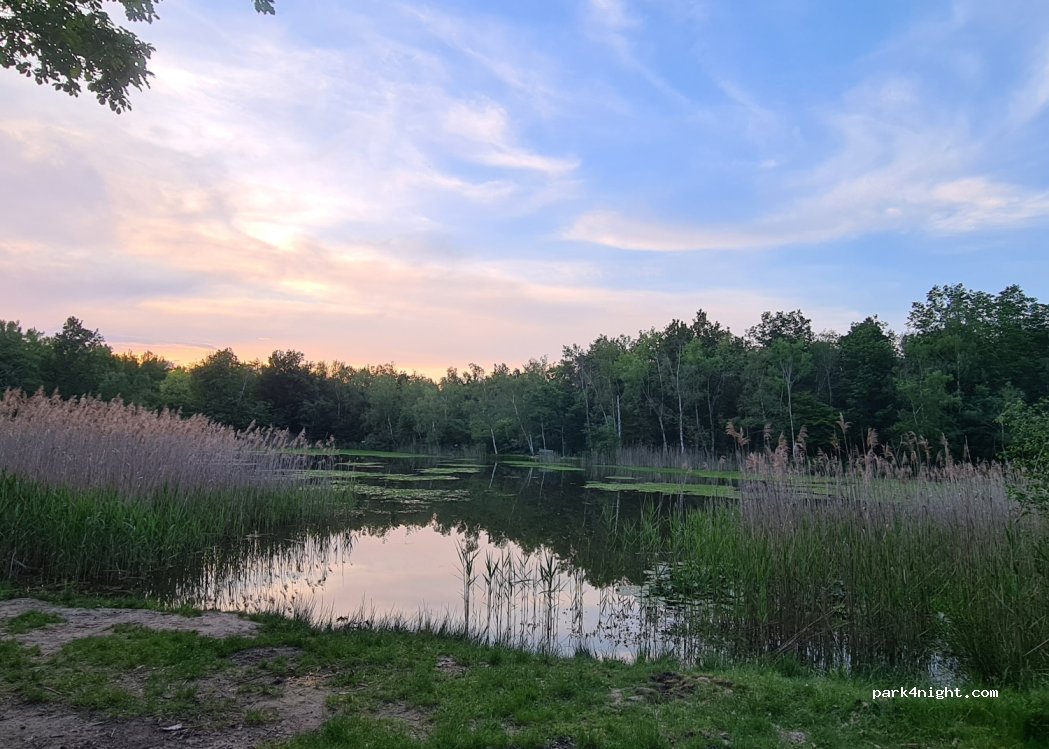 (26530) Le Grand-Serre - Route de l'Etang — foto 4