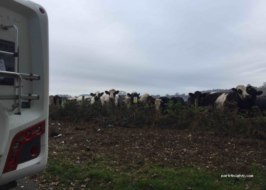 (DY10) Cookley - Common Barn Lane — foto 3
