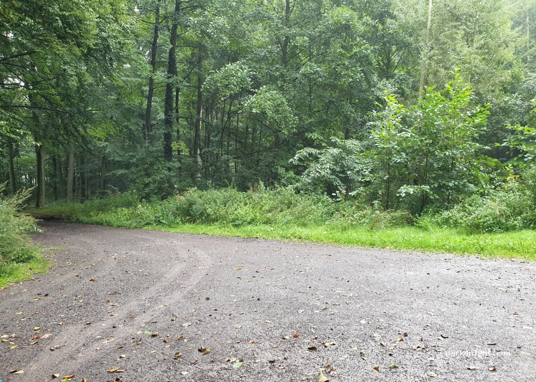 (49448) Brockum - Dehnweg — foto 3