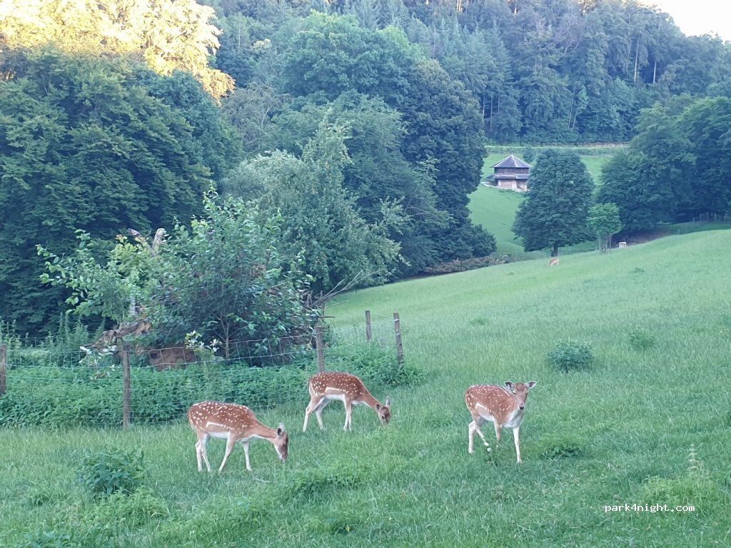 (5012) Eppenberg-Wöschnau - Mühlerain — foto 2