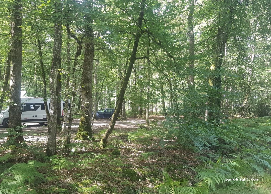 (35140) Mézières-sur-Couesnon - D23 — foto 2