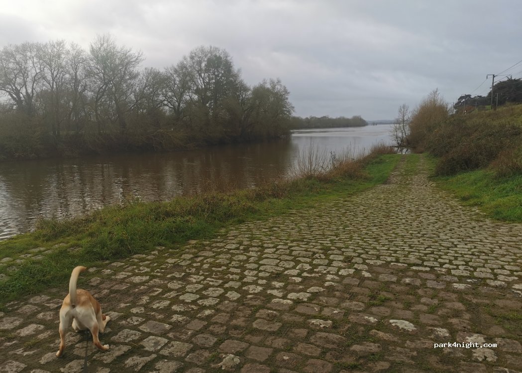 (44150) Vair-sur-Loire - Le Bernardeau — foto 5
