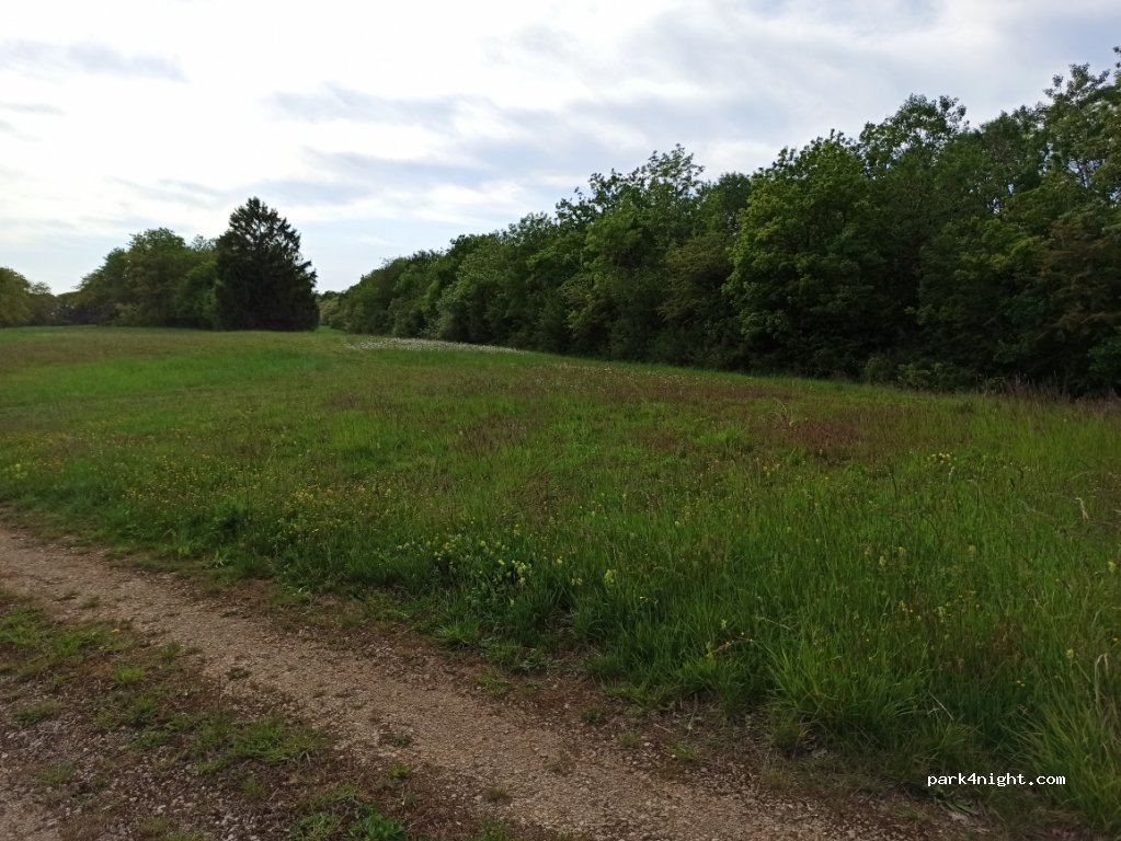 (52360) Dampierre - Derrière Chanteroy — foto 2