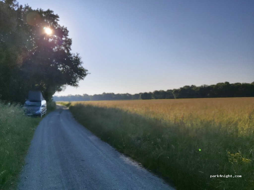(49290) Chalonnes-sur-Loire - Les Verdeaux — foto