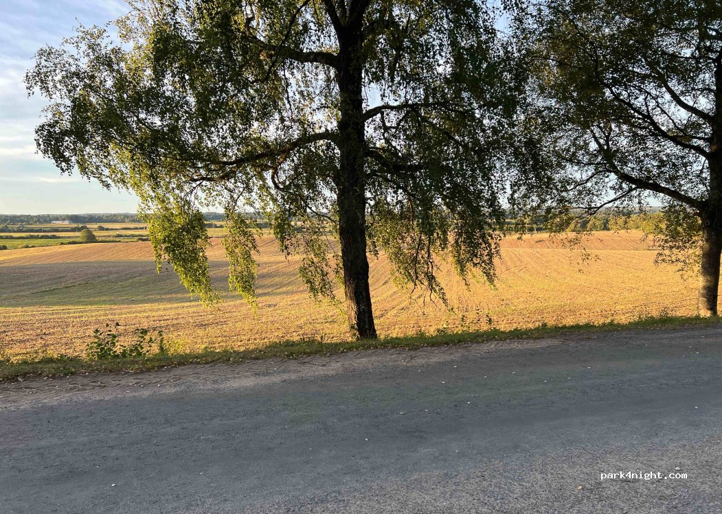 (90281)  - Unnamed Road — foto