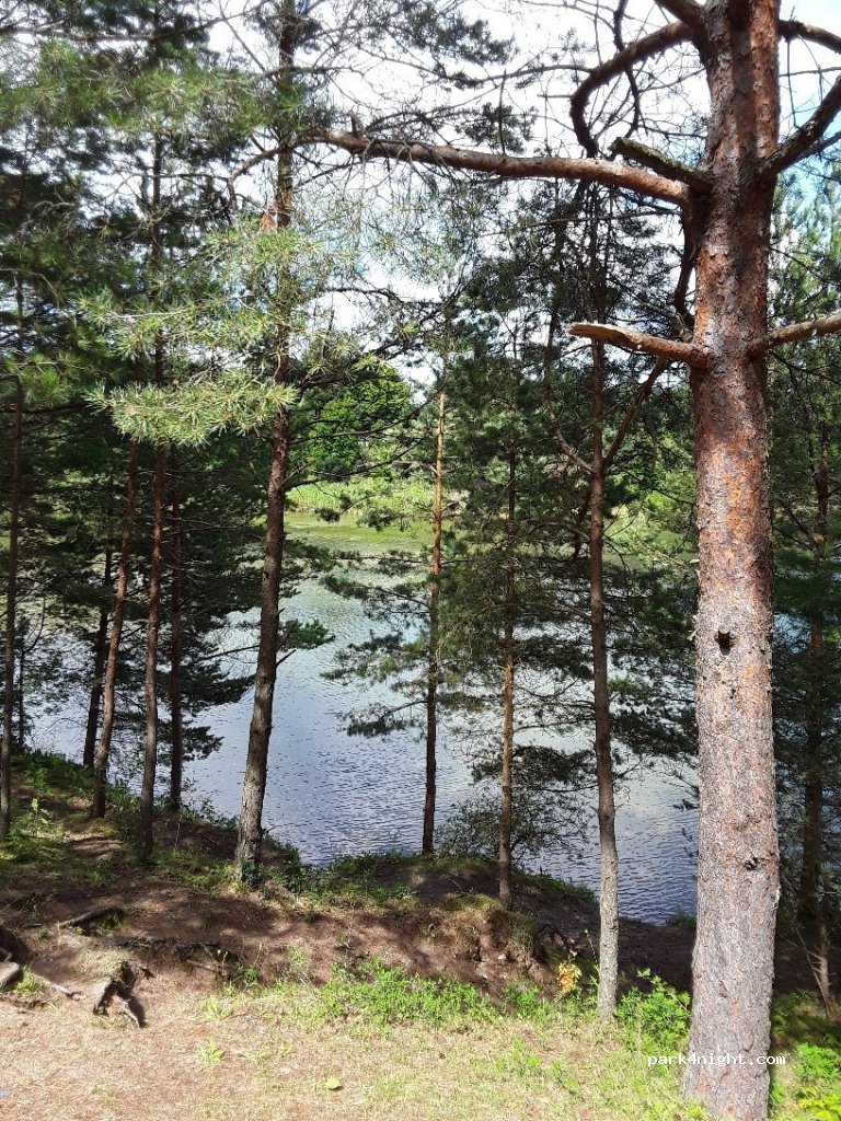 (00221) Palanga - 3 Kunigiškių gatvė — foto 3