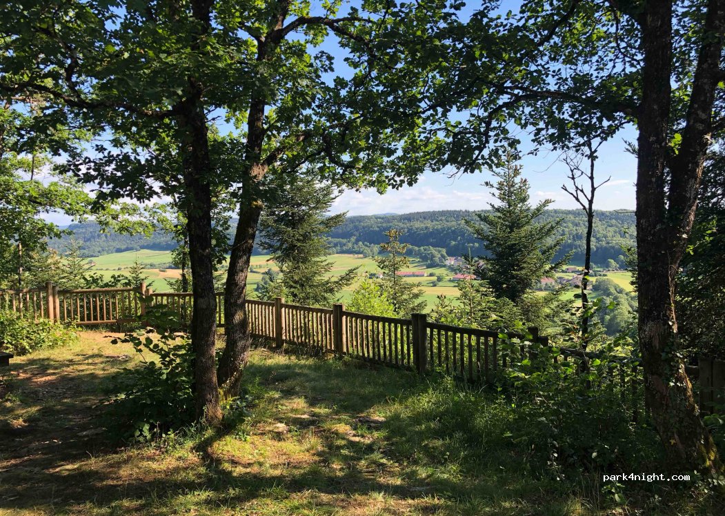 (39300) Pillemoine - Route Forestière de Surmont — foto 2